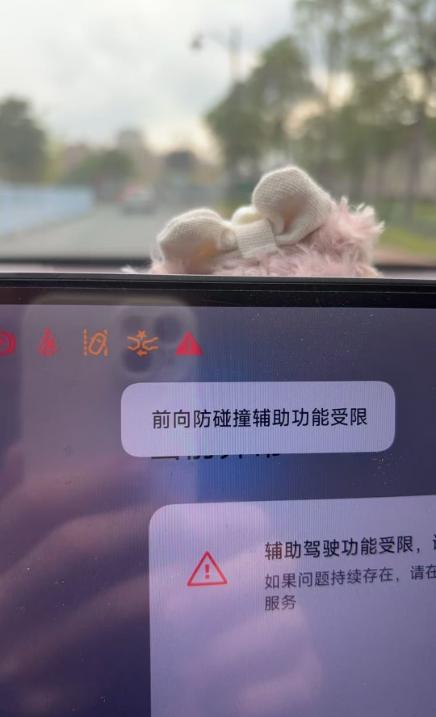 车里的灭火罐炸了 一辆小米SU7智驾全废(图2)