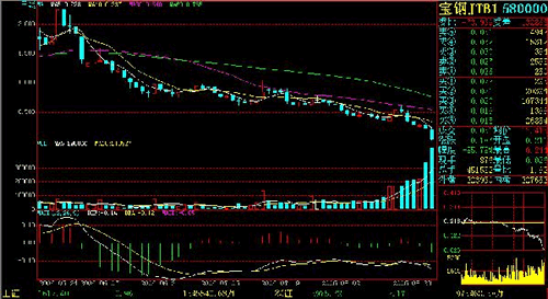 宝钢权证跌去九成 投资者感受真正"蹦极"